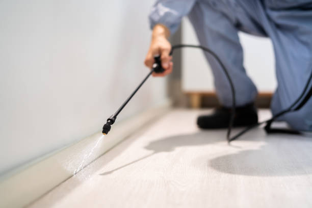 Licensed Cockroach Control service in Dallas, TX - Nex Pest Control