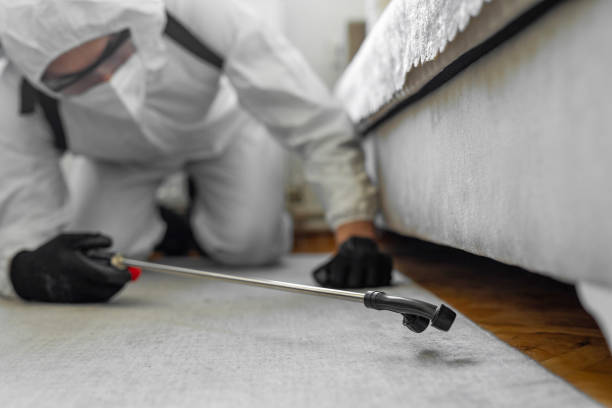 Professional Cockroach Control technician working in Dallas, TX