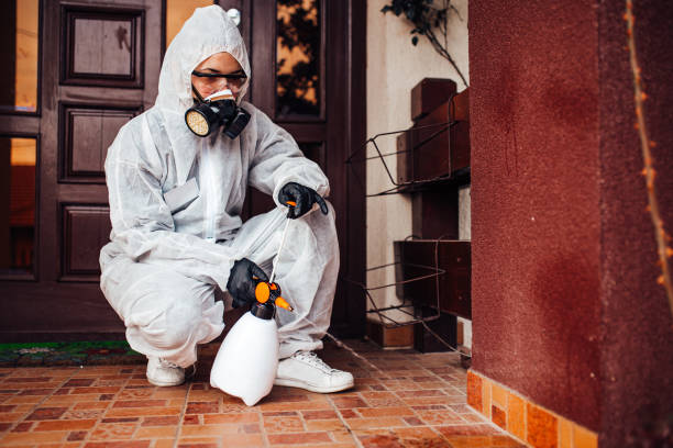 Reliable Cockroach Control contractor in Dallas, TX by Nex Pest Control